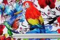 tkanina poliester dekoracyjna wodoodporna PU wzór DECO 84 kolorowa papugi tropiki egzotyczna agatex (2)_DxO.jpg