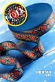 taśma poliestrowa poliester 100% folk kwiaty kwiat agatex agatex.info.jpg