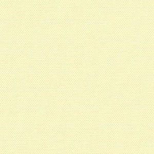 Polyester UV -   PREM 6