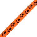 Taśma Nośna Gładka Dwustronna 15mm Zwierzak Neon POMARAŃCZOWA agatex agatex (3).jpg